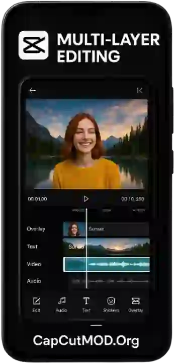 Multi-Layer Editing